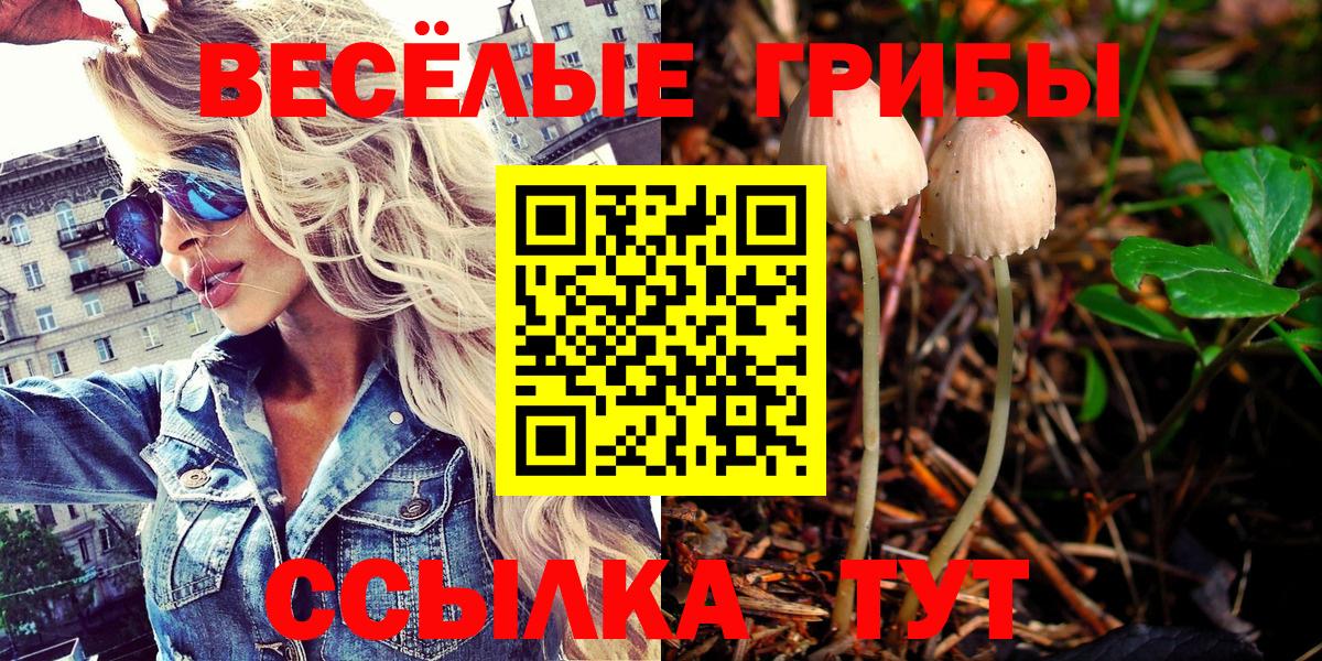 Псилоцибиновые грибы мухоморы Кемерово